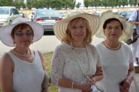 /album/presentacion-de-las-fiestas-de-san-pelayo-2015/ads-3307-jpg/